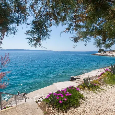 Bandic - 30 Meters To The *