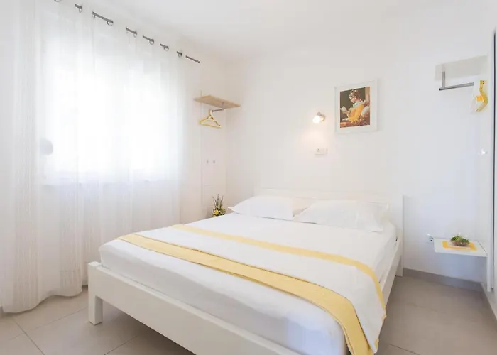 Bandic - 30 Meters To The *