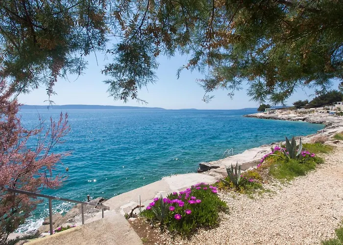 Bandic - 30 Meters To The *