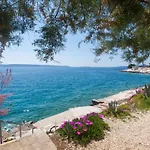 Bandic - 30 Meters To The *